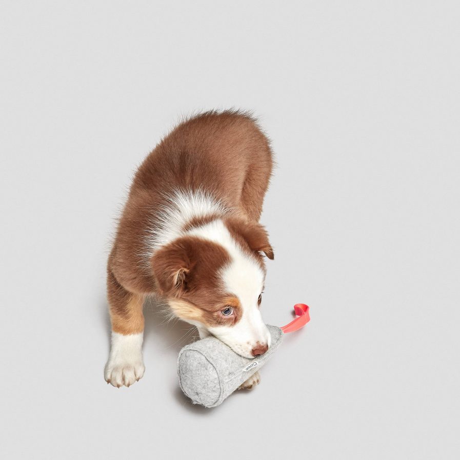 Cloud7-Hundelegetøjskegle vist med hund