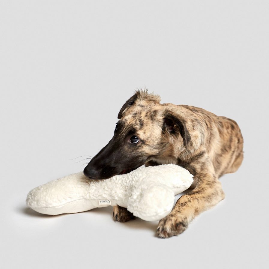 Love bone-Hundelegetøjskødben-Hvid Plys-Cloud7-S vist med hund