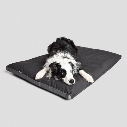 Siesta Hundeseng-Graphite-Waterproof-Cloud7-Vist med sort hvid hund