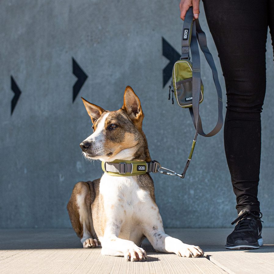 Urban Trail Line-Dog Copenhagen-Hunting Green - Vist med Urban Explorer Halsbånd