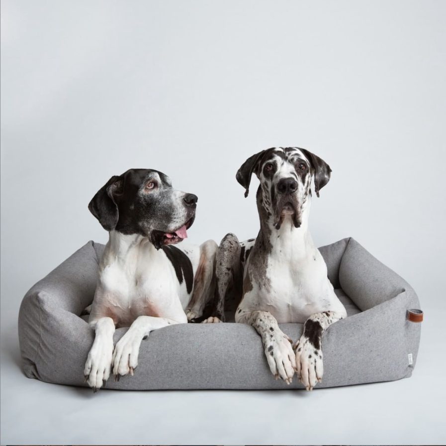 Sleepy Deluxe Hundeseng-Tweed Grey-Cloud7-Vist med 2 hunde