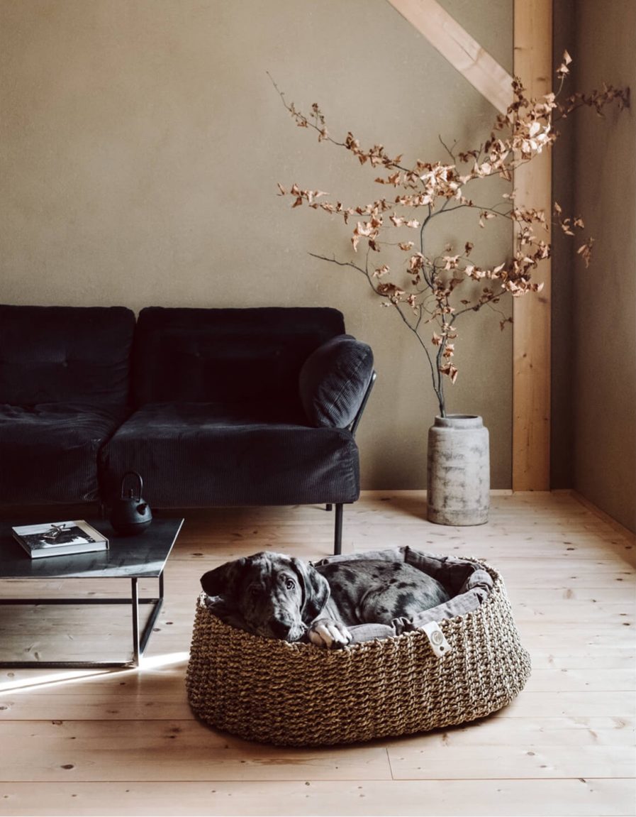 Lazy-Hundekurv-Maple-Cloud7-vist med hund i stue