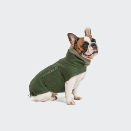 Brooklyn-French Bulldog-Hundefrakke-Flannel-Fern Green-Cloud7-På hund